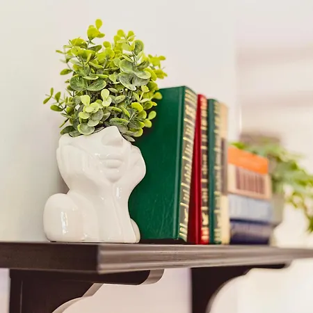 公寓 Victoria's Danube View *